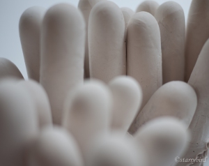 fingers (6 of 11)